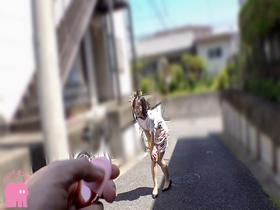 奥様大集合！振動こらえて完走できたら１００万円に挑戦 リモバイお宅訪問！！　サンプル画像11